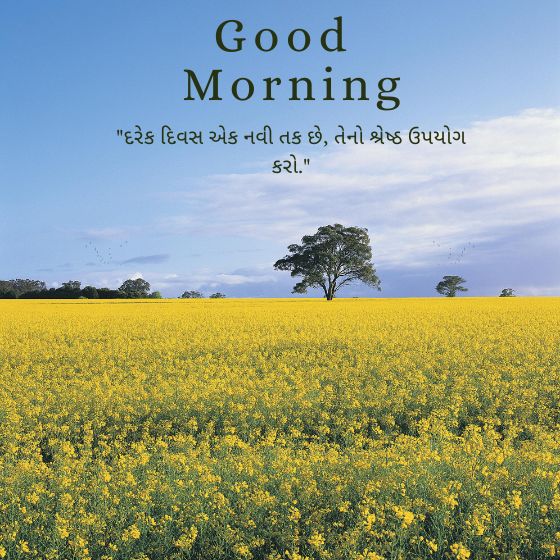 suvichar gujarati