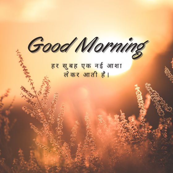 नए सुविचार 2024