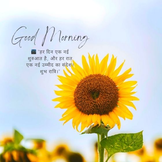 गुड नाईट सुविचार इमेज