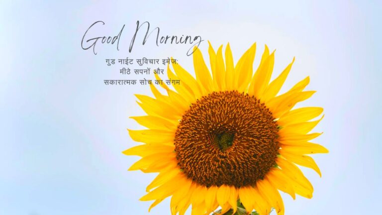 गुड नाईट सुविचार इमेज