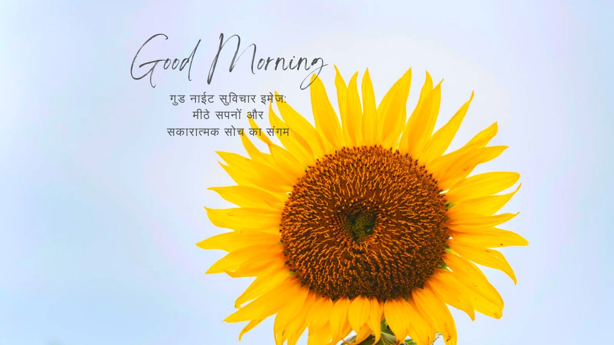 गुड नाईट सुविचार इमेज